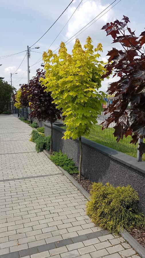 Apartament Angelo Sosnowiec Esterno foto